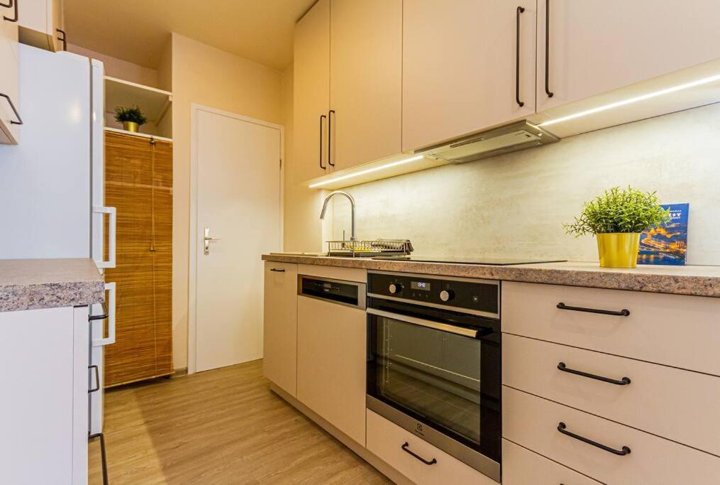 Roomy Apartment 80Sqm At City Center Free Parking Space, Ac & Balcony Βουδαπέστη Εξωτερικό φωτογραφία