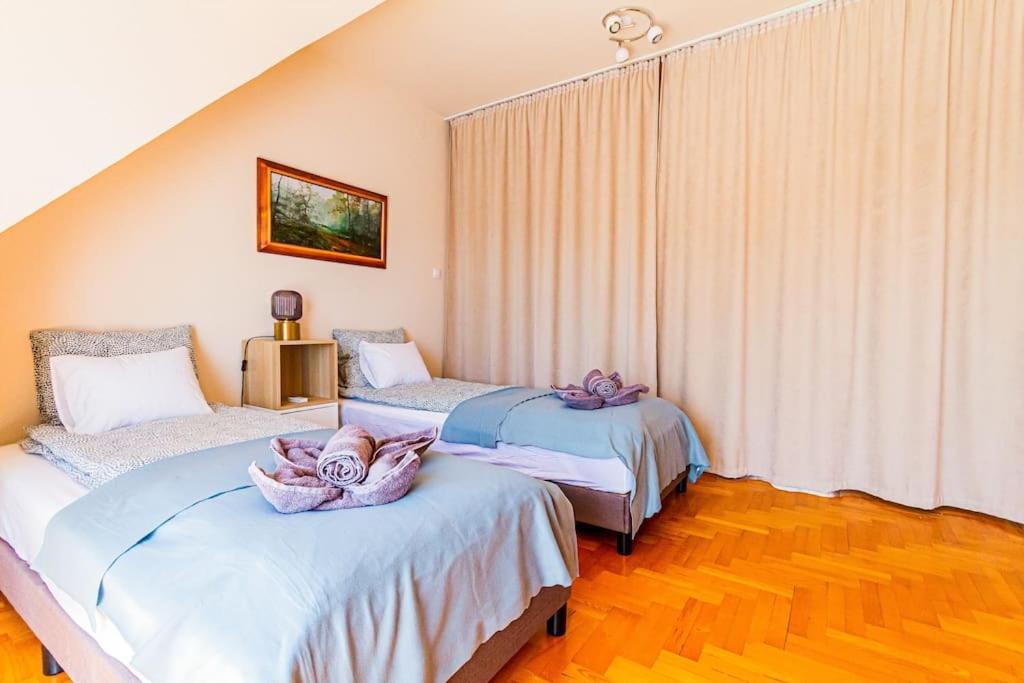 Roomy Apartment 80Sqm At City Center Free Parking Space, Ac & Balcony Βουδαπέστη Εξωτερικό φωτογραφία